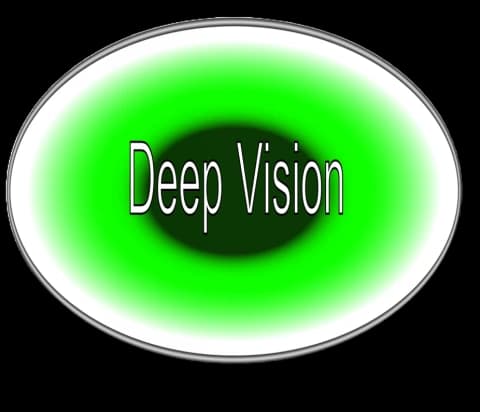 Deep Vision logo