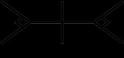 Per Vices Corporation logo