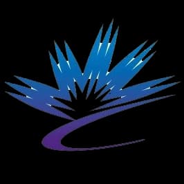 Canadian Light Source logo