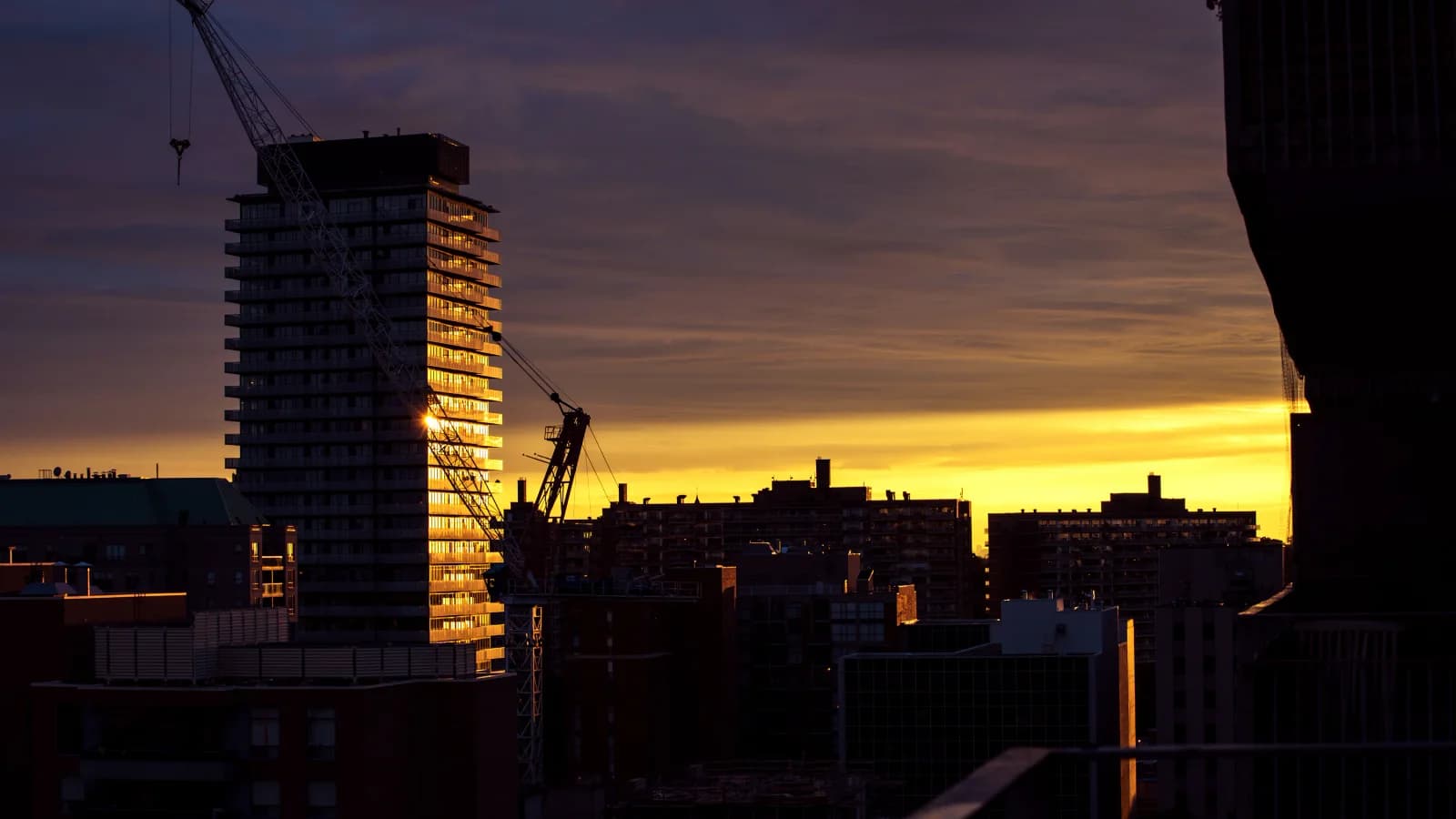 Golden evening light catches Toronto buildings and construction cranes beneath a dramatic sky.