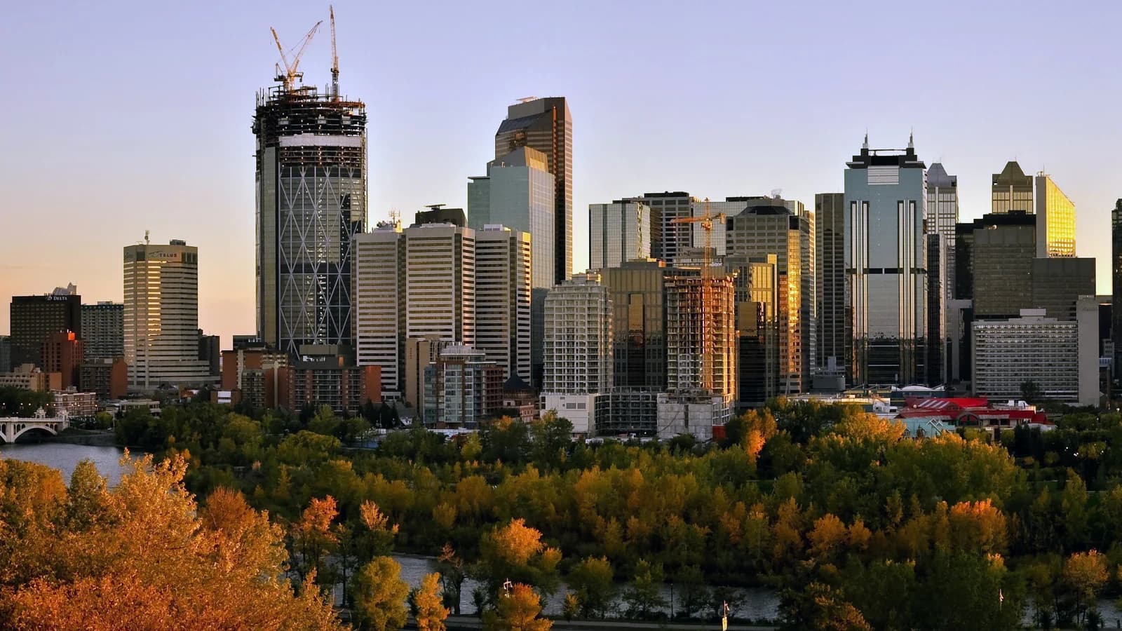 Archival Calgary skyline in evening light, with construction cranes and autumn trees in the foreground.